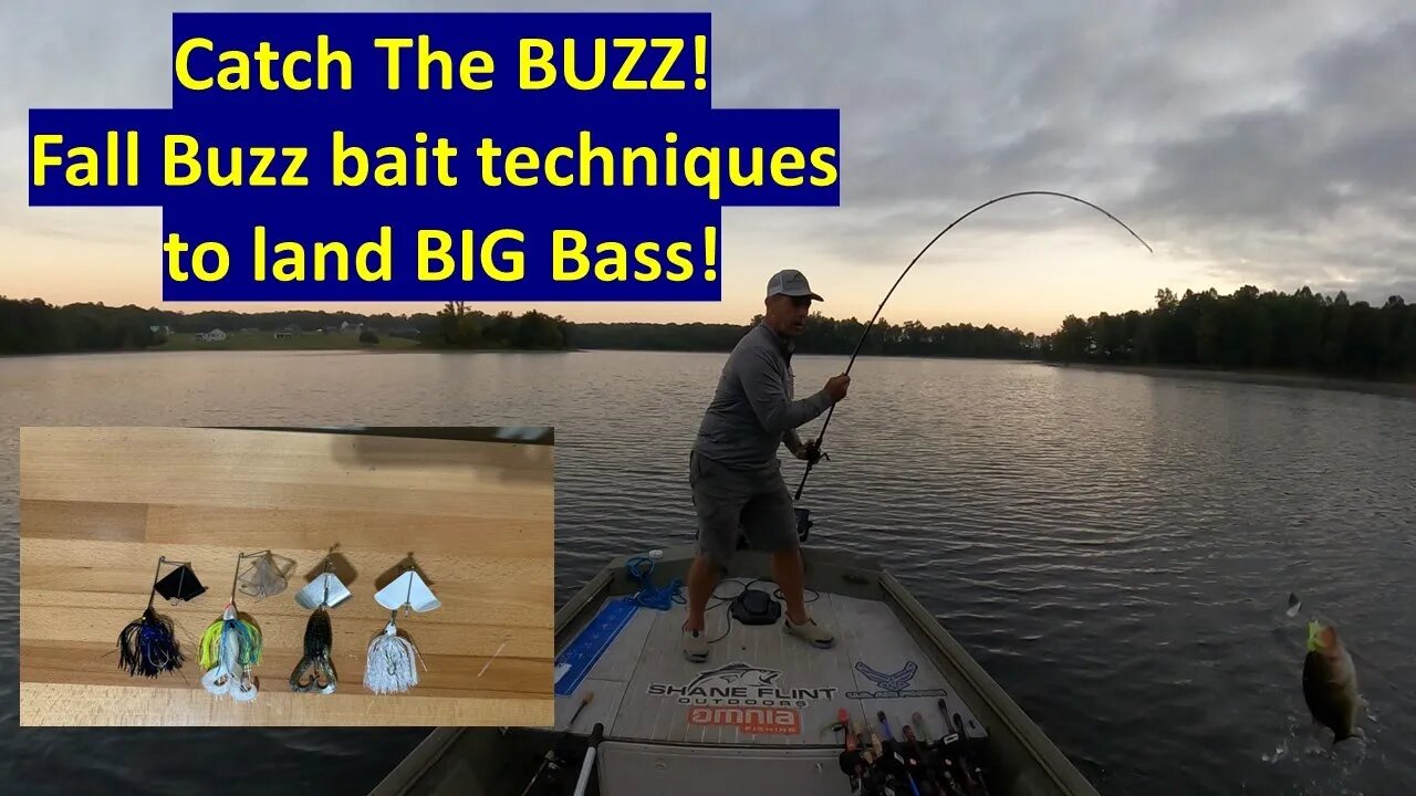 Proven Buzz Bait Techniques for Fall Bass Fishing Success