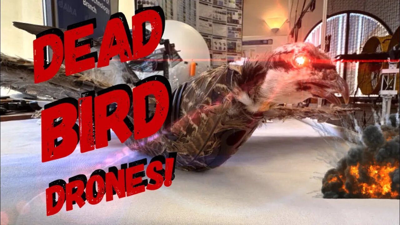 Scientists Are Using DEAD BIRDS To Make Incognito Drones!