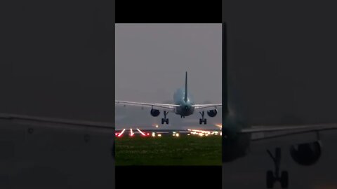 Amazing
