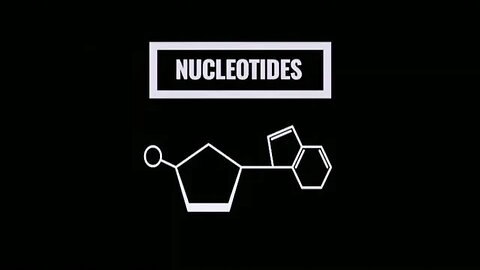 Become An Affiliate For NücleoGenex Today!