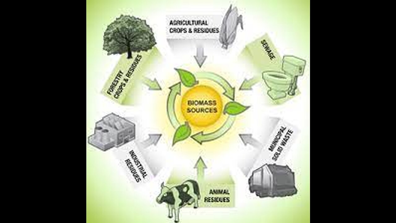 Renewable Energy [Episode 8] Biomass Energy