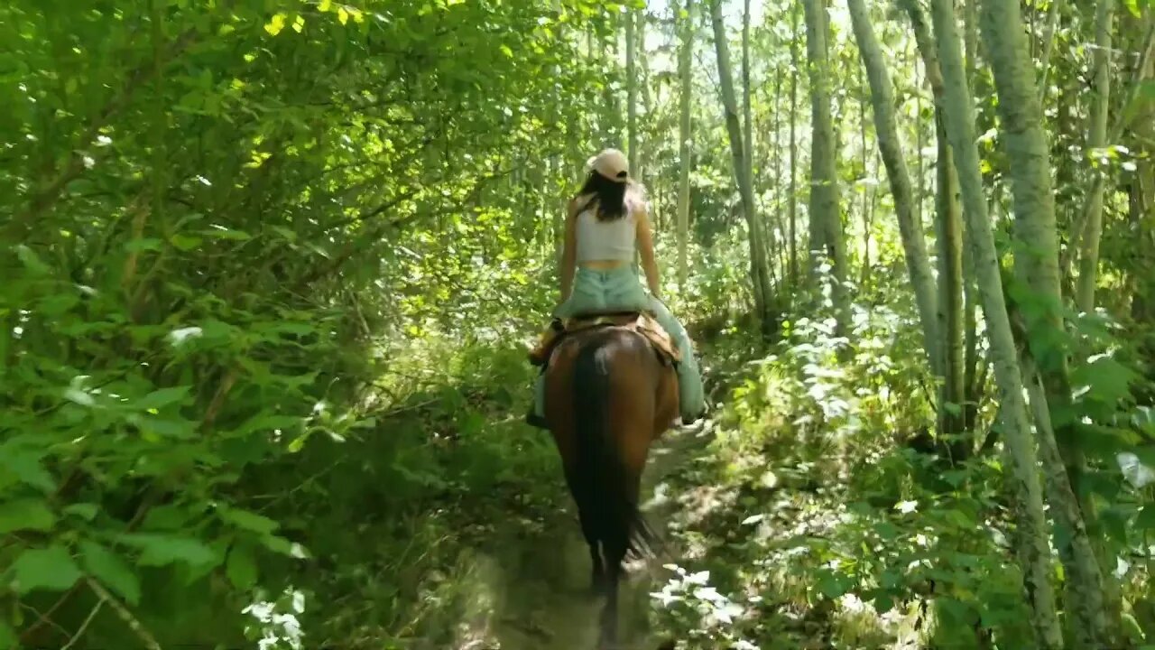 First time riding a horse!