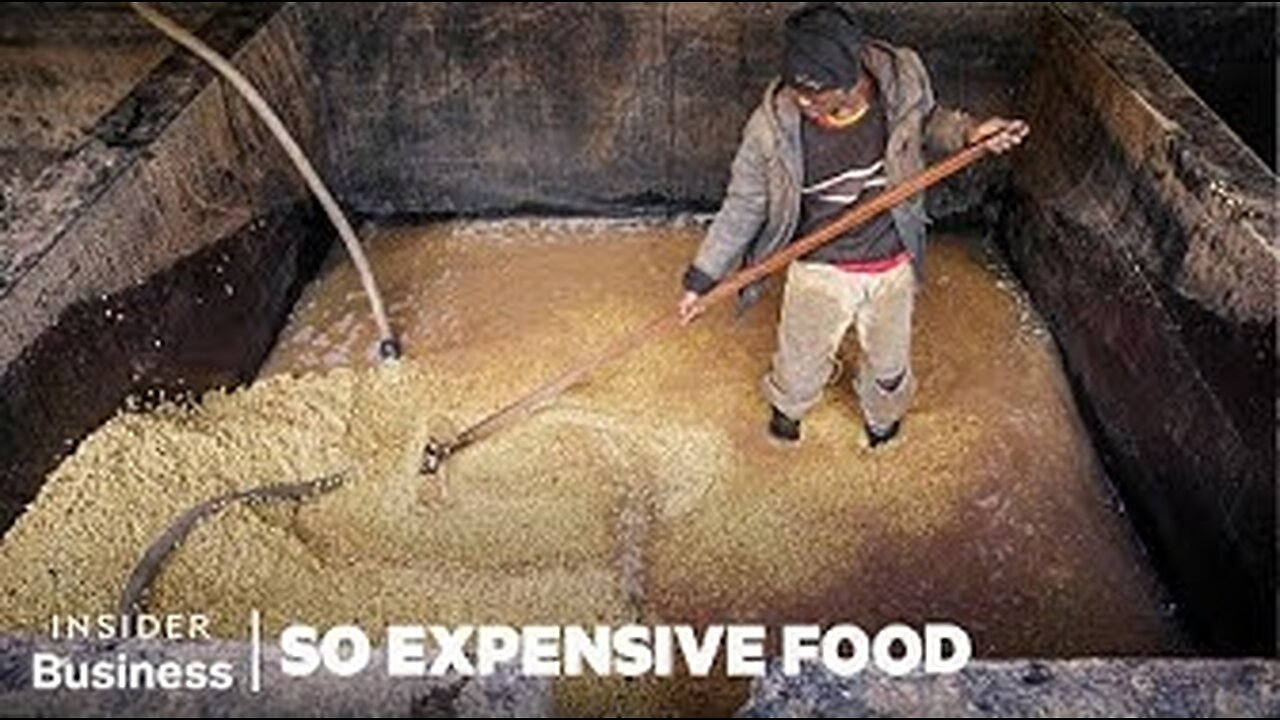 Why Single-Origin Coffee Is So Expensive | So Expensive Food | Insider Business
