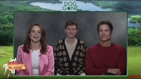 Dog Gone | Morning Blend