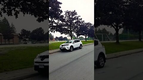 Leaves changing color. Fall has arrived. #fall #leaves #shorts #cloudy