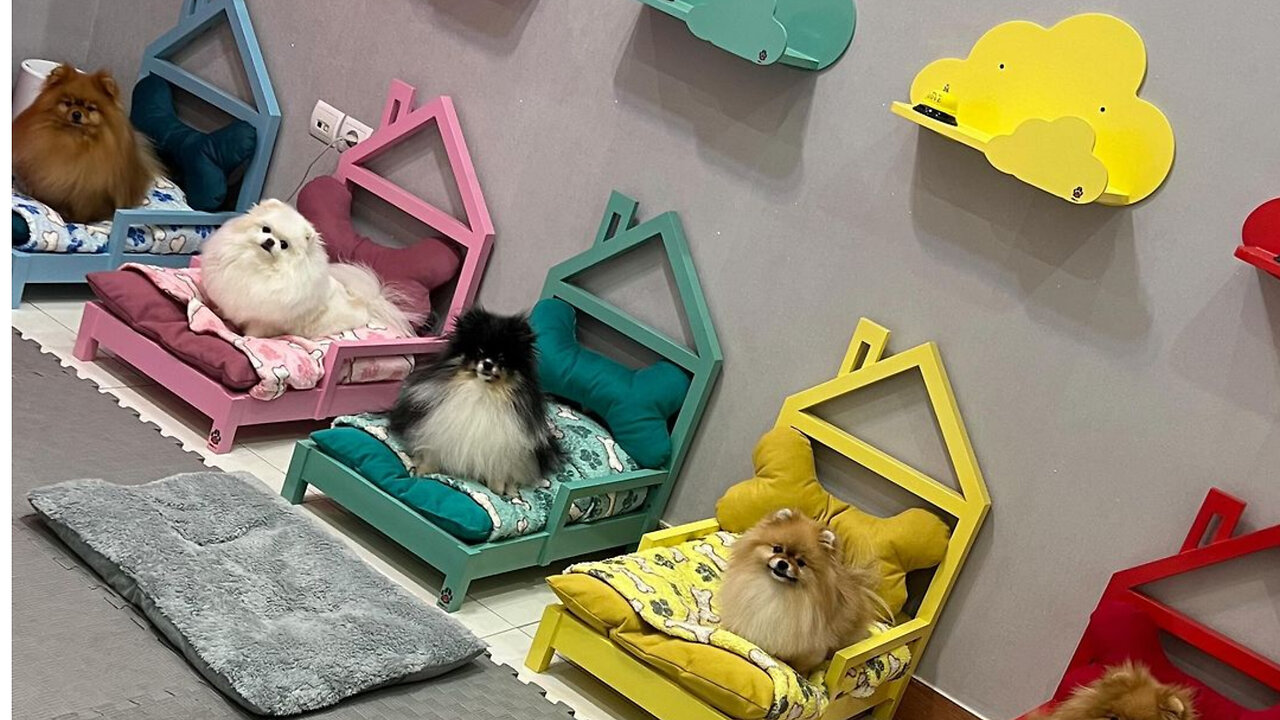 Joyful furry friends