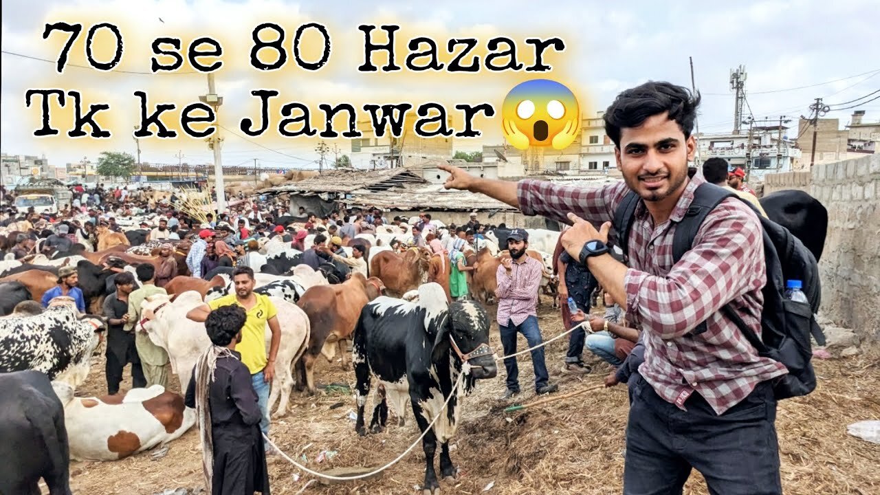 janwar ke rate sun ke apka Dil Khush hojaye ga 😱 | VLOG 21 | BACKBENCHERS