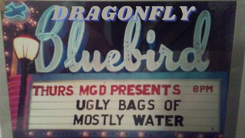 Ugly Bags of Mostly Water, Dragonfly