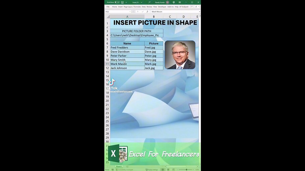 How to insert picture shape in excel