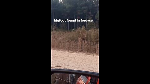 Bigfoot