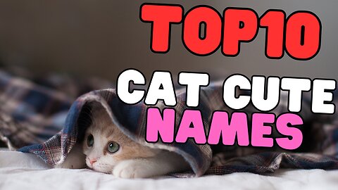Cutes Cat Names