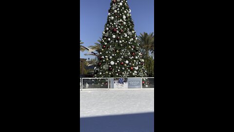 Christmas Tree at The Veranda