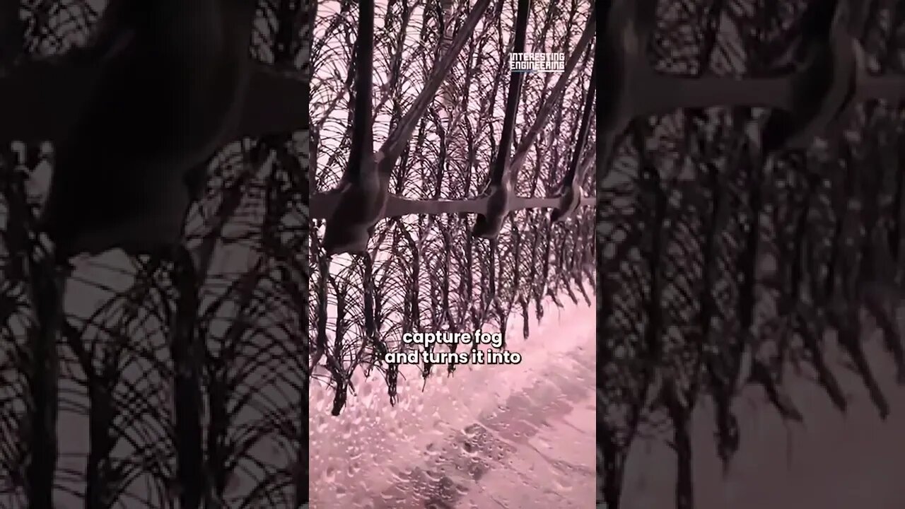 Amazing net to capture rainwater drops it converts into drinking water