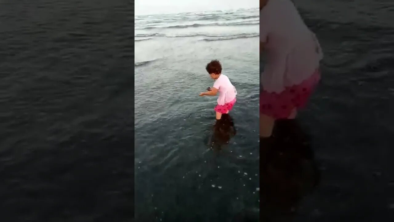 شهد في ساحل أبين