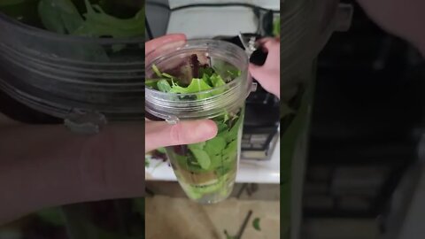 Basic Green Drink: Kiwi, Organic Spring Mix/ Spinach, Lemon Juice, Water