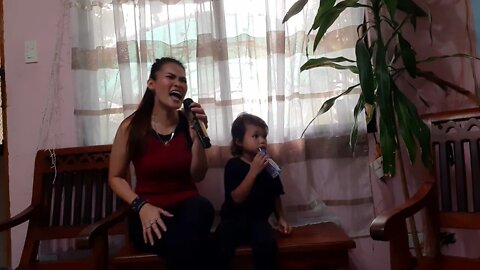 Didn't We Almost Have It All (cover)