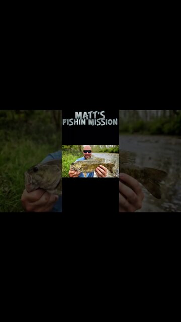 MEGA SMALLMOUTH in a skinny creek! (short version)