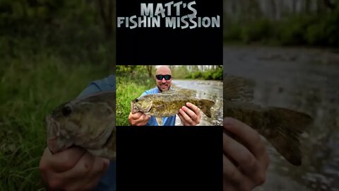 MEGA SMALLMOUTH in a skinny creek! (short version)