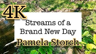 Pamela Storch - Streams of a Brand New Day (Official 4K Video)