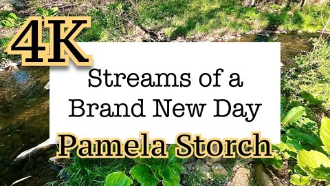 Pamela Storch - Streams of a Brand New Day (Official 4K Video)