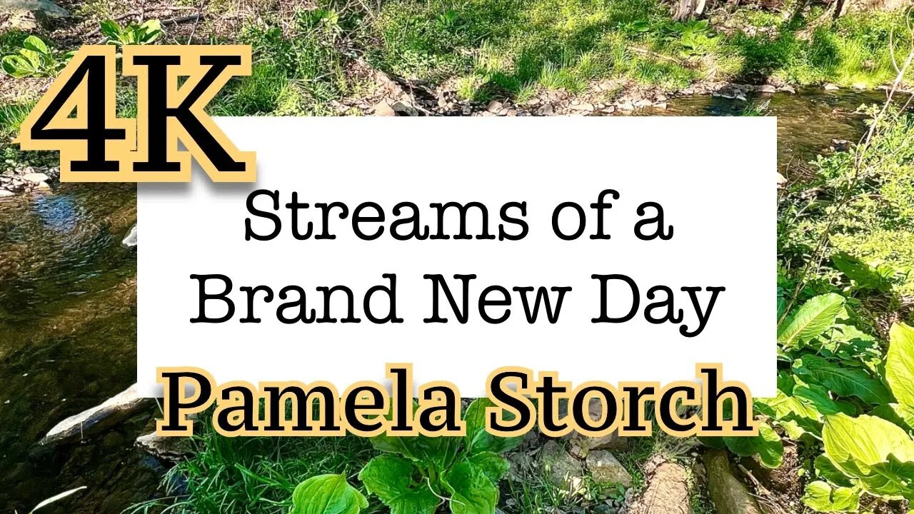 Pamela Storch - Streams of a Brand New Day (Official 4K Video)
