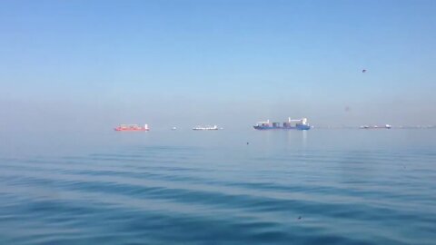 Turkey negotiates with Russia, Ukraine on release of ships blocked in Black Sea