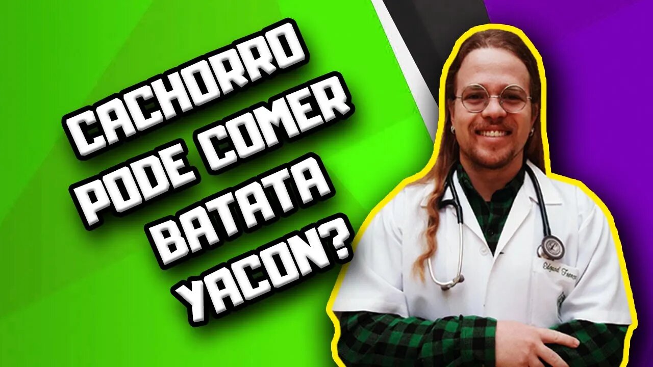 Cachorro pode comer Batata Yacon? #shorts