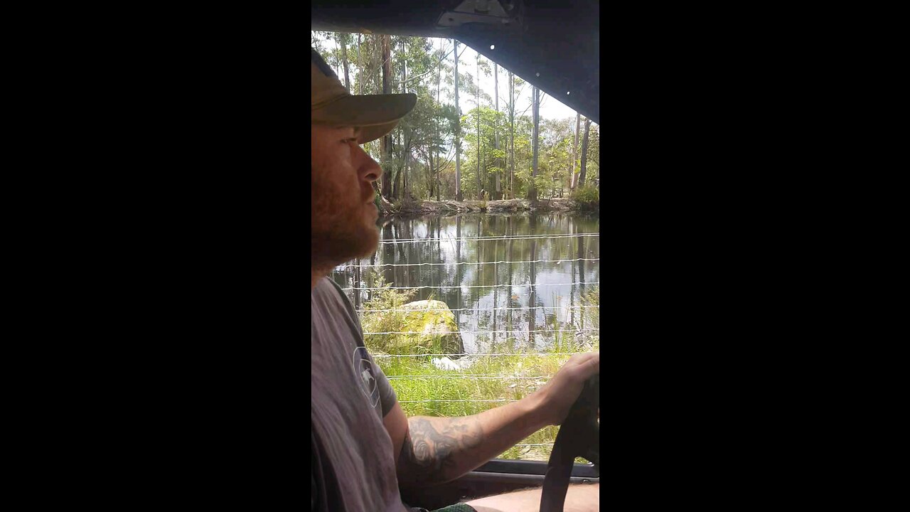 Yamaha UTV SCENIC