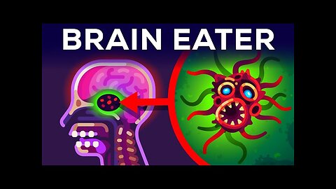 The Most Horrible Parasite: Brain Eating Amoeba