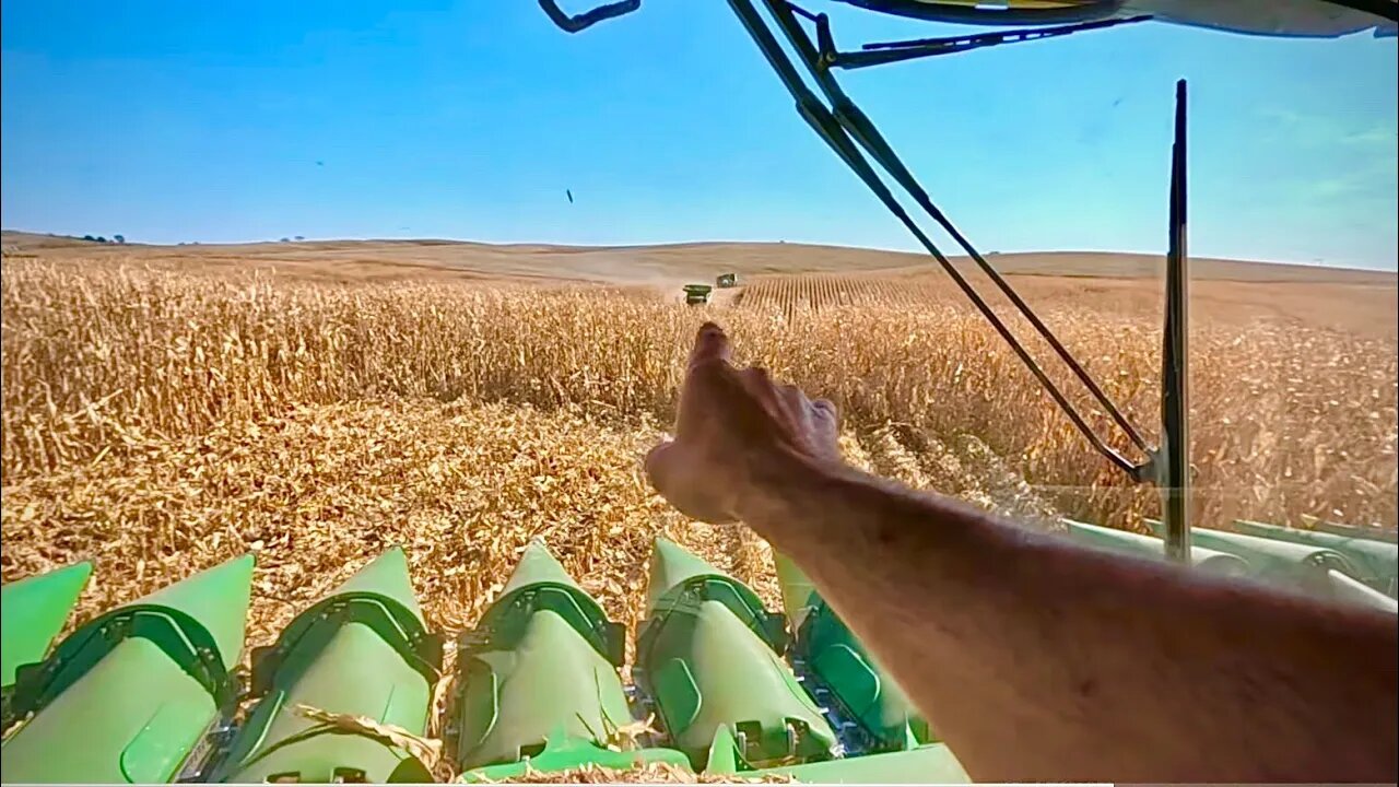 Rolling into Corn Harvest