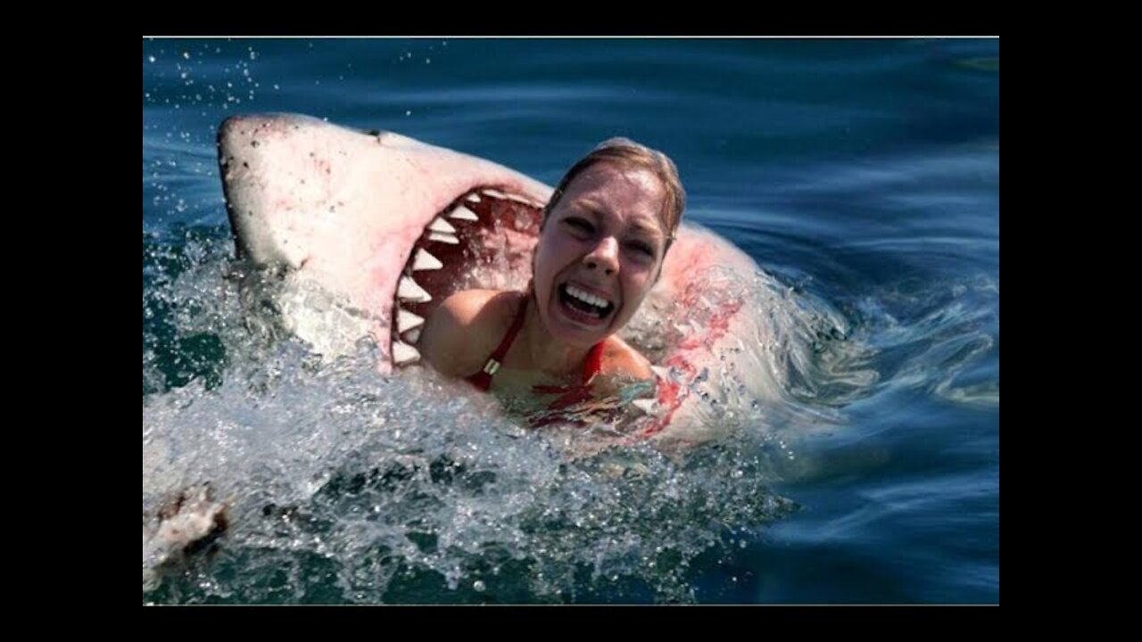 SHARKS ATTACK PEOPLE IN REAL LIFE!!! 😱 😱 SCARYYYYY!!!