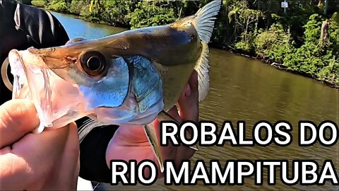 MAIS ROBALOS QUE ÁGUA!!! FOI ASSIM A NOSSA PESCARIA NO RIO MAMPITUBA!!!