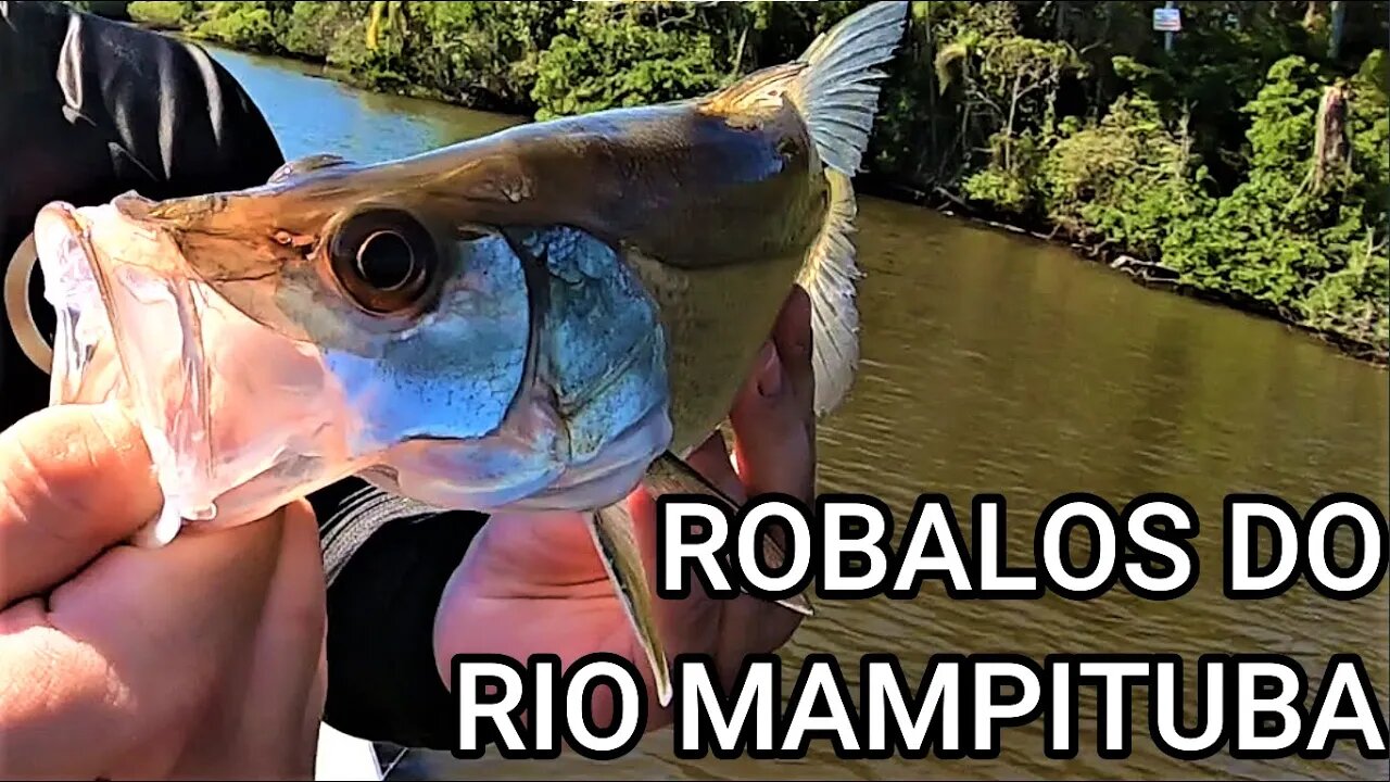 MAIS ROBALOS QUE ÁGUA!!! FOI ASSIM A NOSSA PESCARIA NO RIO MAMPITUBA!!!