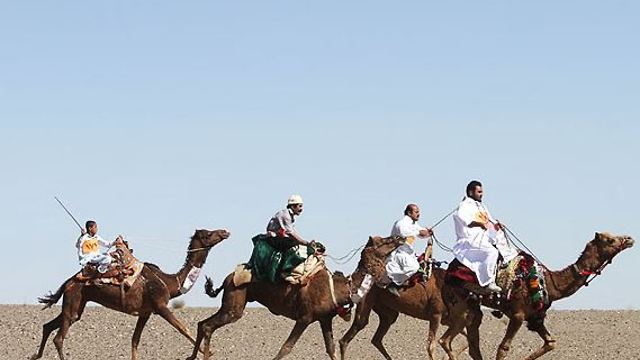 Camel racing in Zahedan,Iran