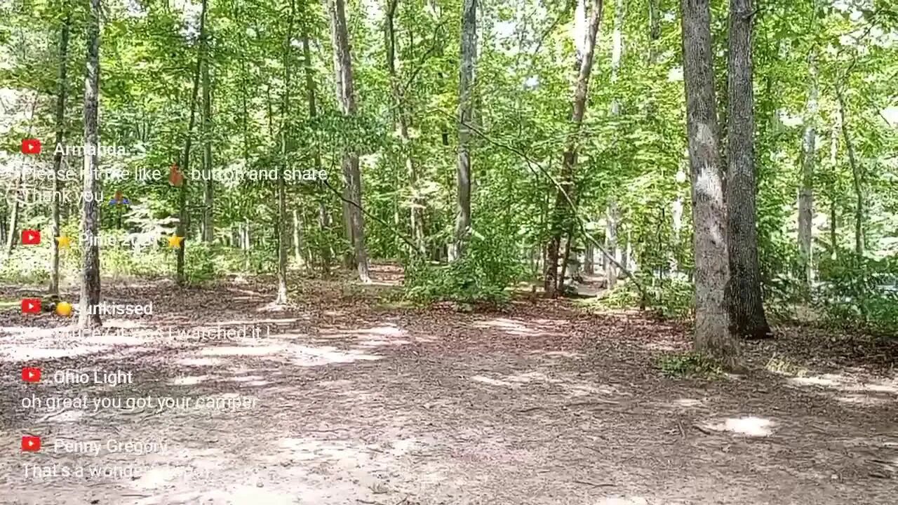 Live - Gotta love this!