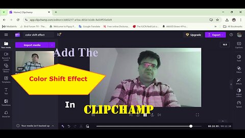 Add The Color Shift Effect In Clipchamp