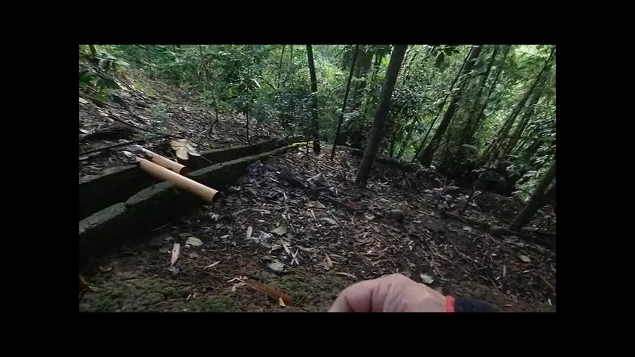 FERROCEMENT SHED/PIGGERRY -TODAYS WORK