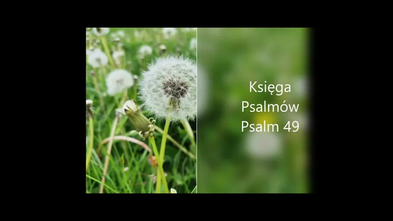 Księga Psalmów - Psalm 49