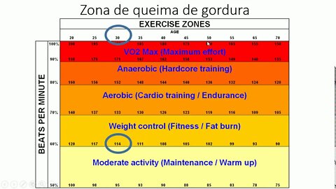 Zona de QUEIMA de GORDURA é o segredo? - Ricardo Wesley