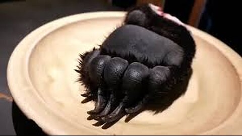 Japanese Food - GIANT BEAR PAW Tokyo Japan