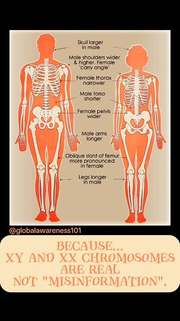 because... XY and XX chromosomes are real not "misinformation".
