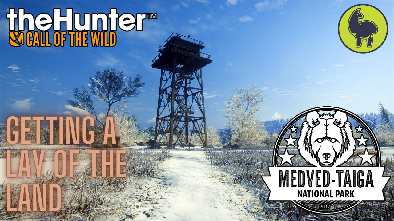 Getting a Lay of the Land, Medved Taiga | theHunter: Call of the Wild (PS5 4K)