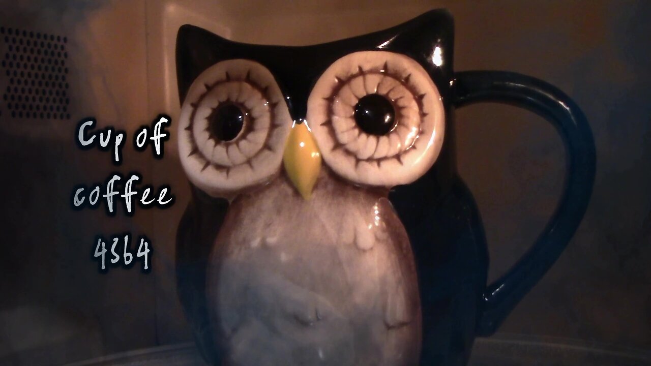 cup of coffee 4364---It Wasn't a Monkey and It Wasn't a D*mn Owl! (*Salty Language)