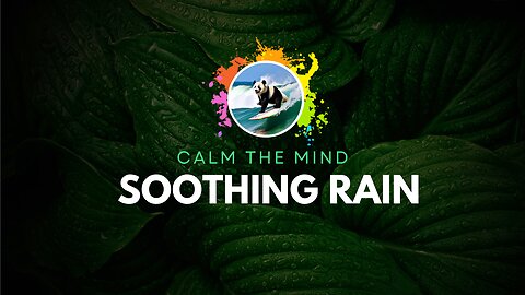 1Hour Soothing Rain for Meditation