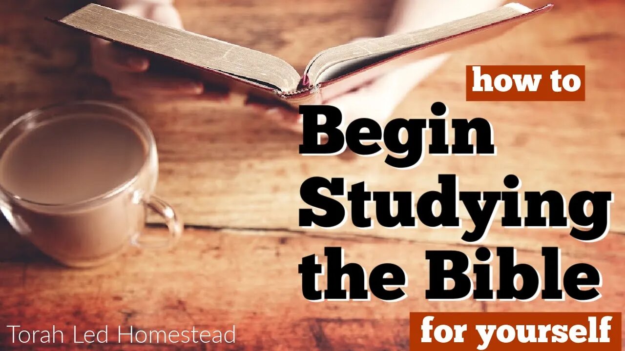 How to Begin Studying the Bible for Yourself #TorahStudy #NewtoTorah #BibleStudy