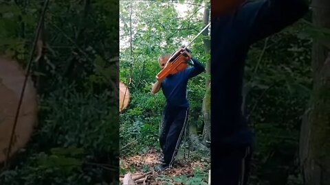 #shorts #2022 funny,prank,funjokes,dad jokes,funny memes,funny video,fun,laughing,funny animal,knock