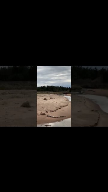 Exploring a stream at the beach