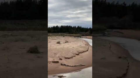 Exploring a stream at the beach