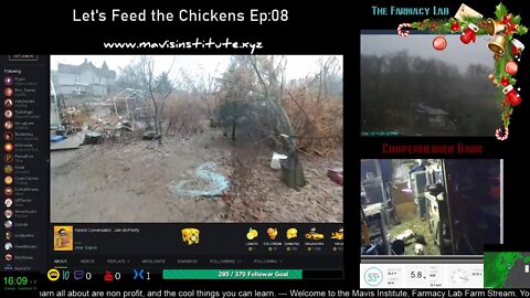 Let's Feed the Chickens Ep:08 Building Community (Bear Friendly Saloon)