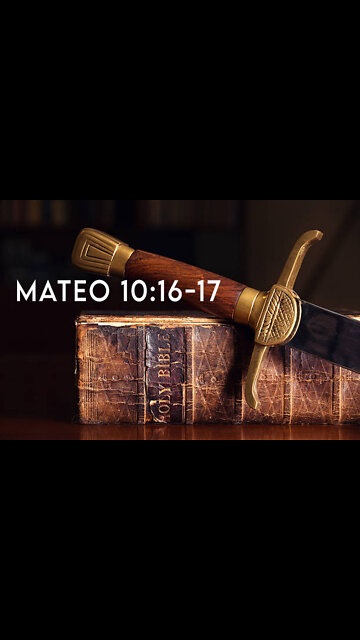 Mateo 10:16-17